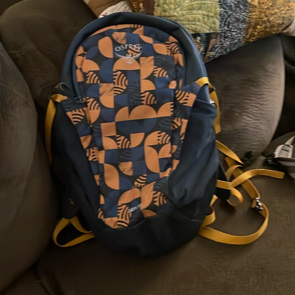 Osprey Daylight bag (limited edition print)
